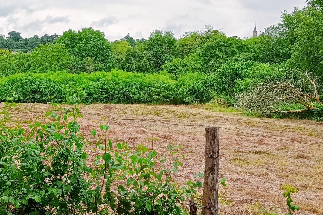 Photo of Others in Tabanac