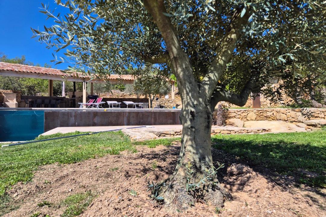 Photo of Others in Viens