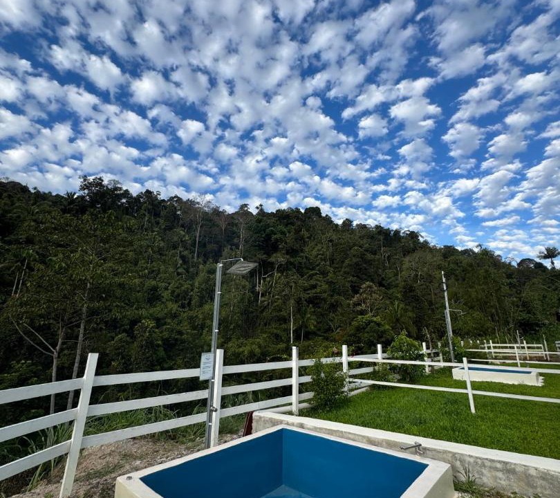 Photo of Others in Ulu Telom