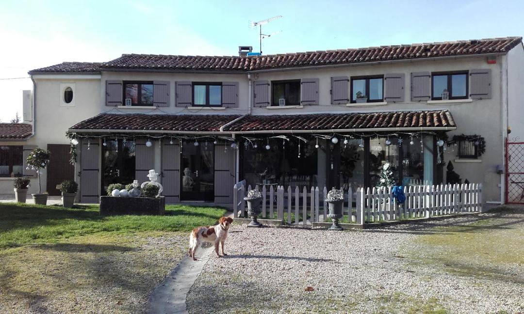 Photo of Others in Gensac-la-Pallue