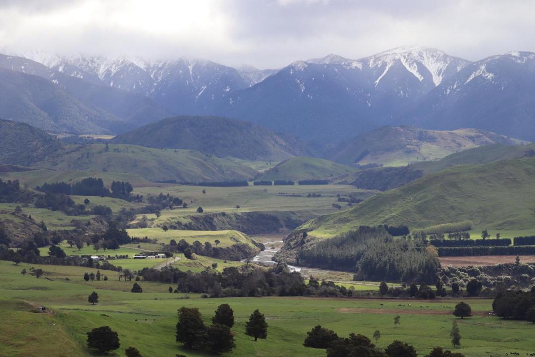 Photo of Others in Ongaonga