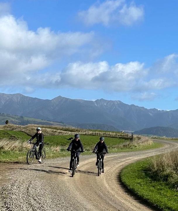 Photo of Others in Ongaonga