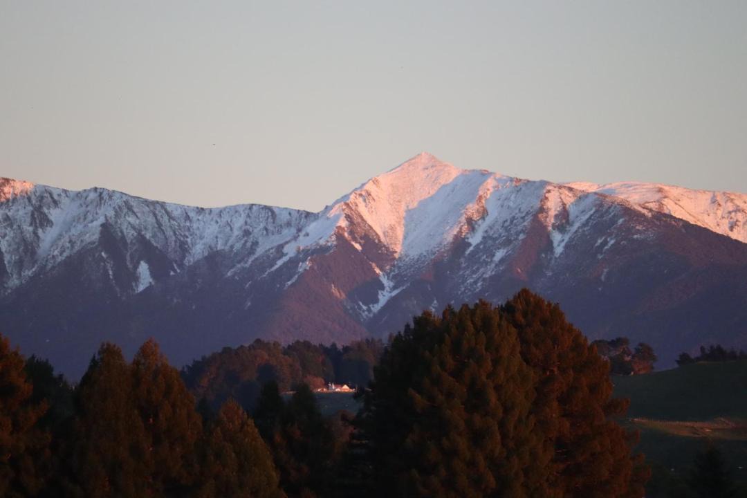 Photo of Others in Ongaonga