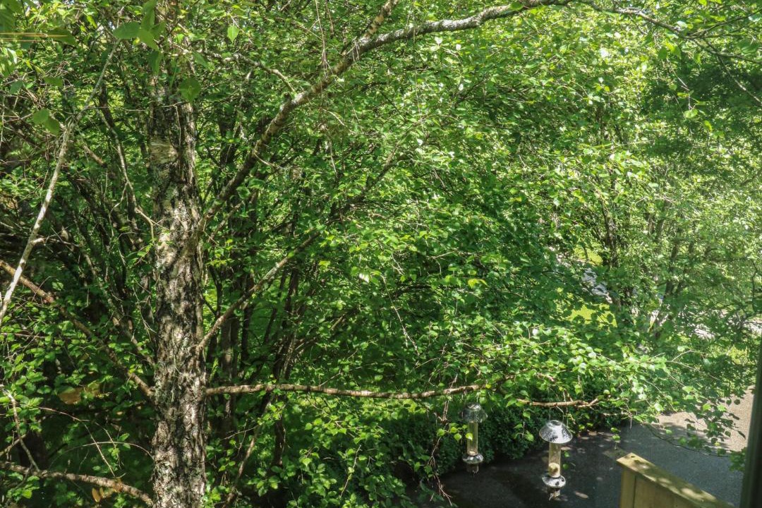 Photo of Others in Newton Poppleford