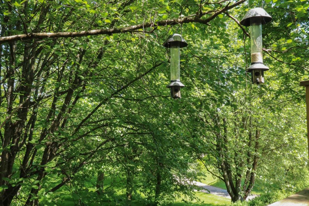 Photo of Outdoor in Newton Poppleford