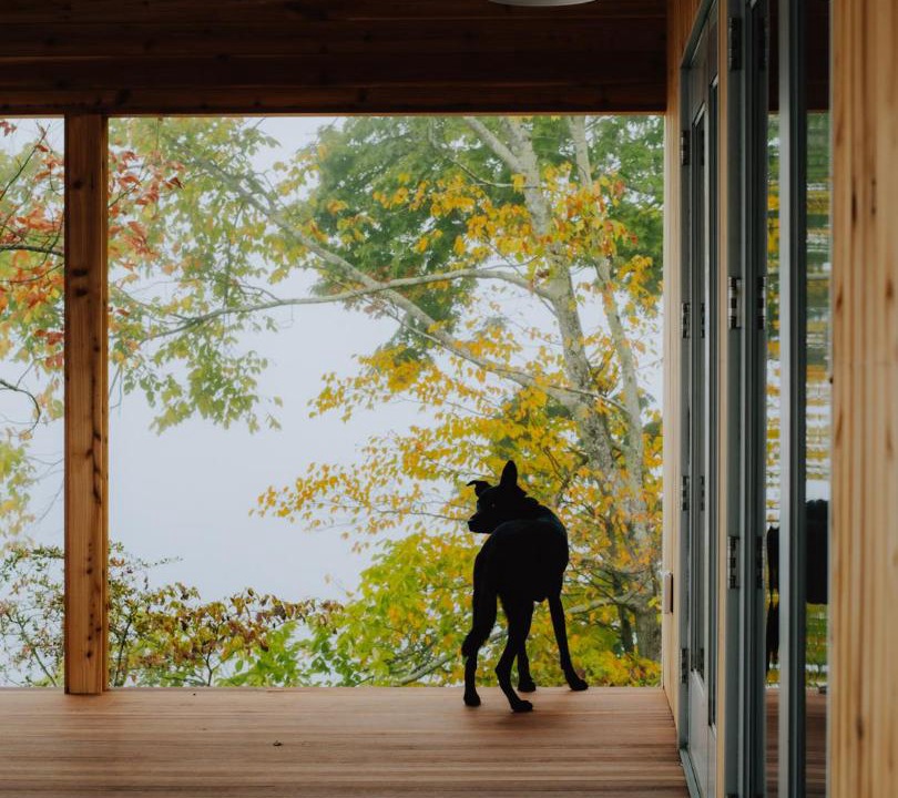 Photo of Others in North Egremont