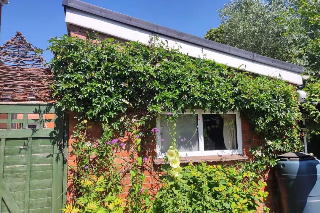 Photo of Others in Glastonbury