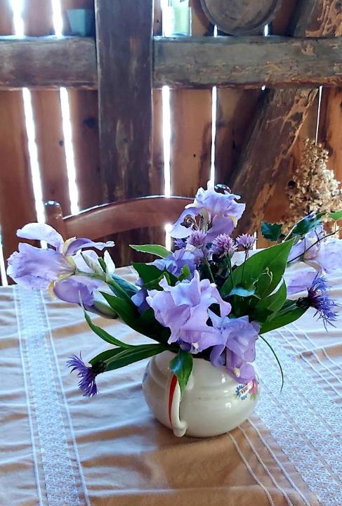 Photo of Others in Winkel