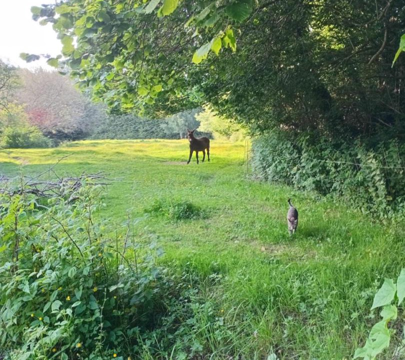 Photo of Others in Bourbriac