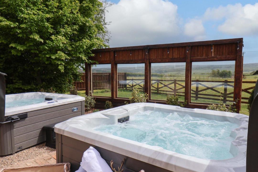 Photo of Others in Briggswath