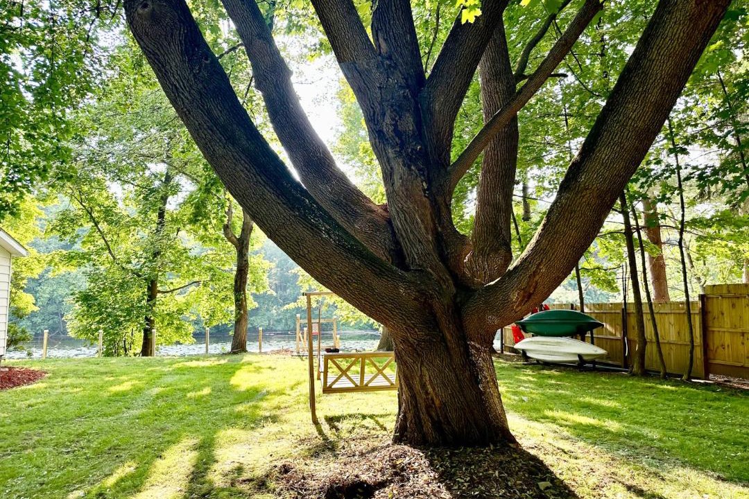 Photo of Outdoor in Mount Marion