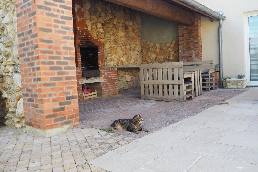 Photo of Others in Moussy