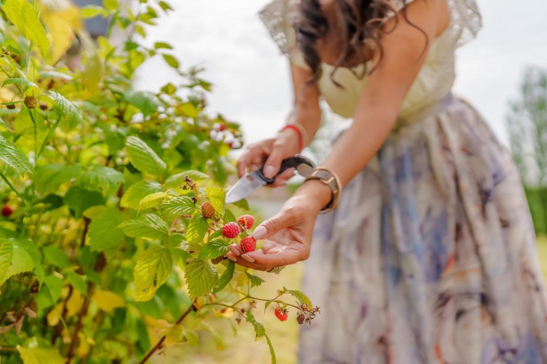 Photo of Others in Langon