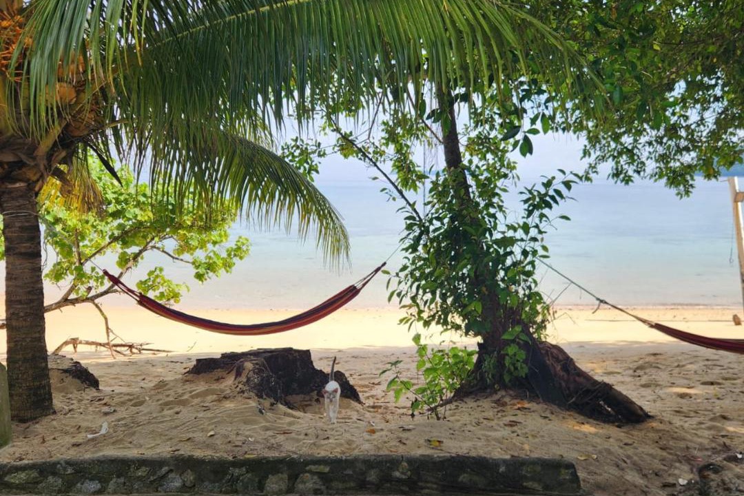 Photo of Others in Tekek