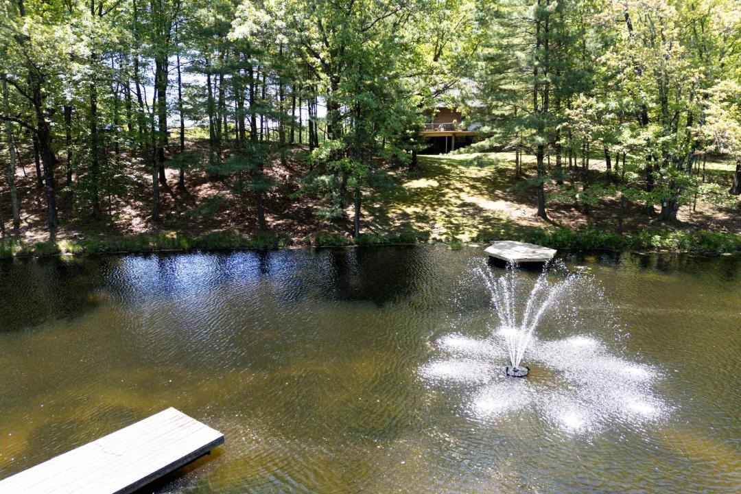 Photo of Others in Kingston