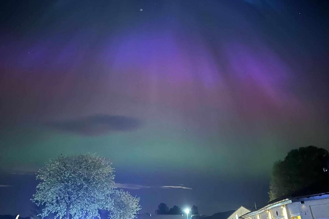 Photo of Others in Aberfoyle