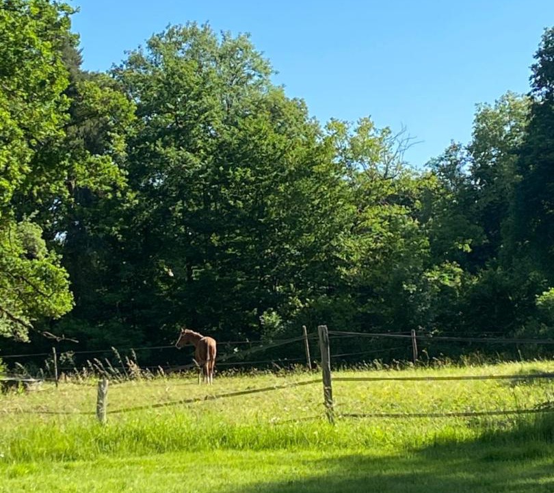 Photo of Others in Auffargis