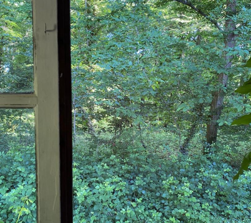 Photo of Others in Auffargis