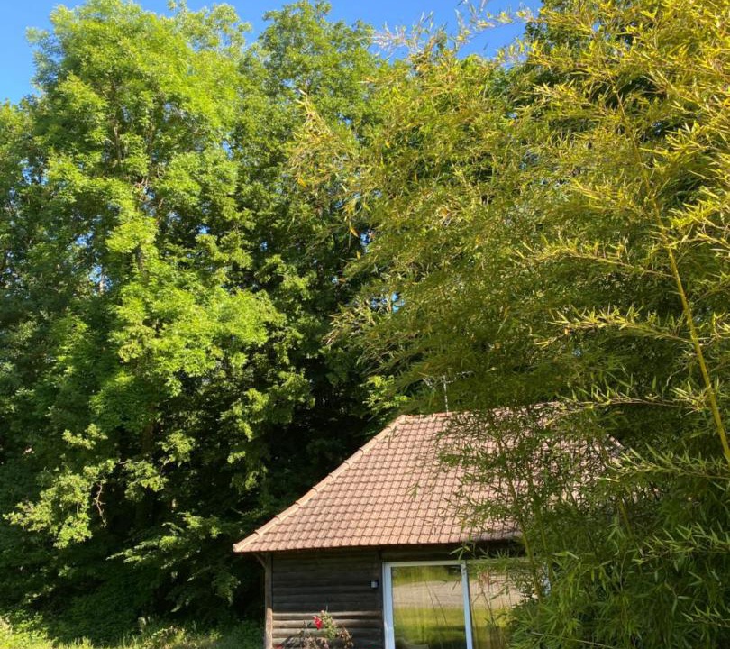 Photo of Others in Auffargis