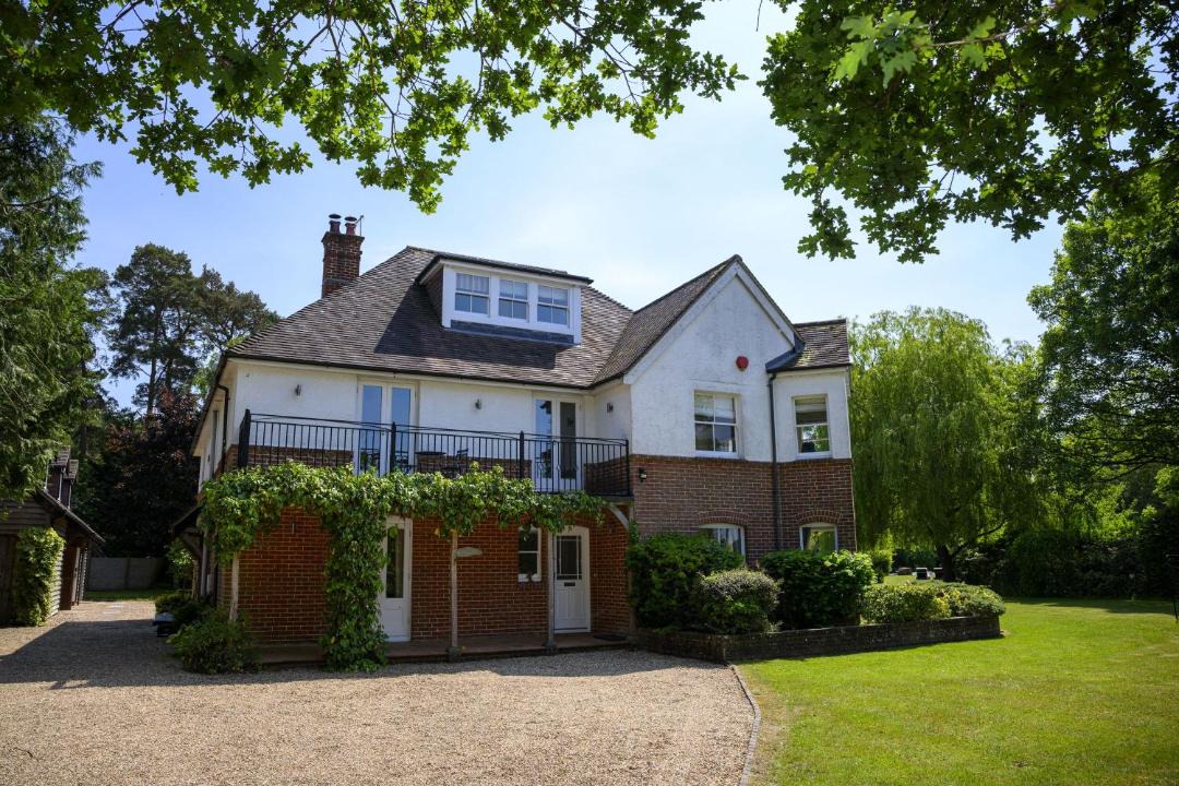 Photo of Others in New Forest District