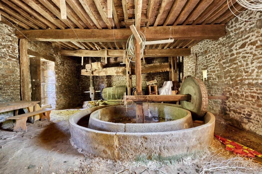 Photo of Others in Louge-sur-Maire