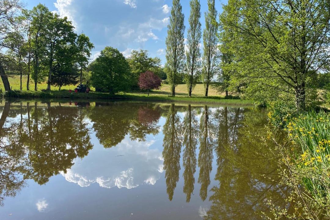Photo of Others in Bussiere-Poitevine