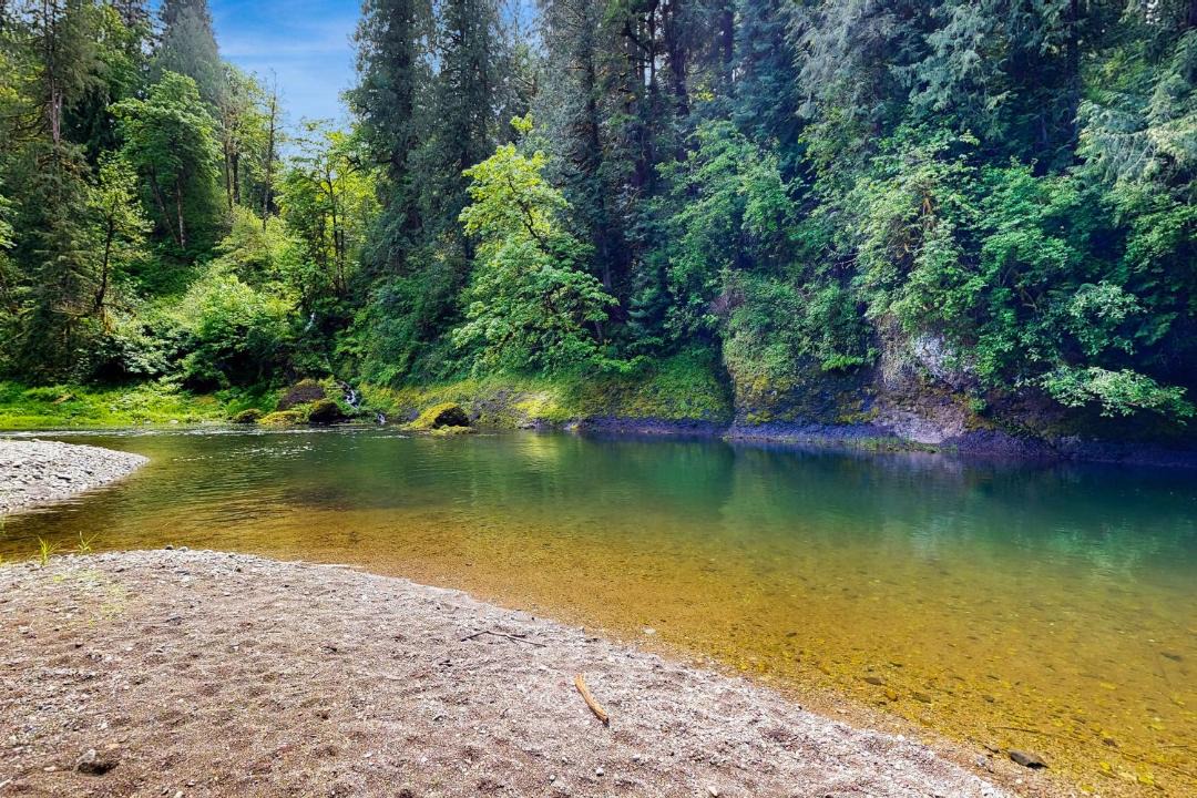 Photo of Others in Washougal