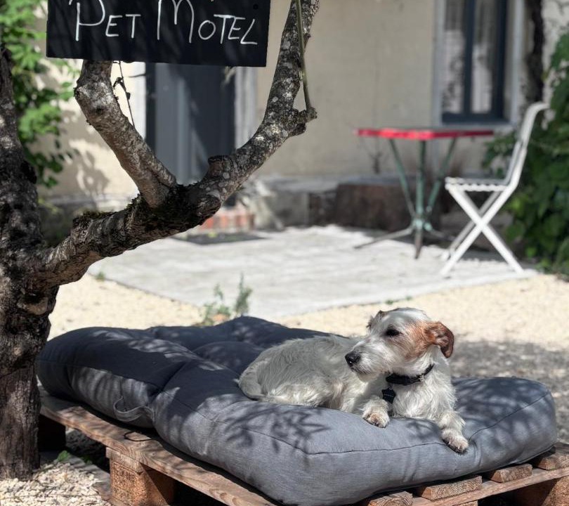 Photo of Others in Bourgueil