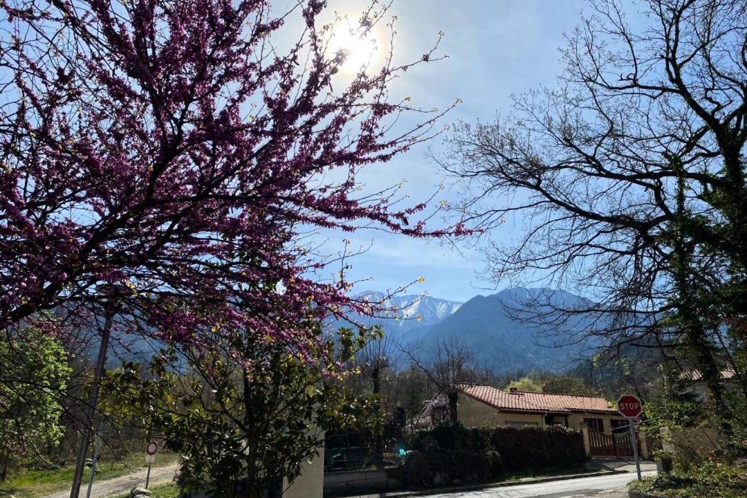Photo of Outdoor in Vernet-les-Bains