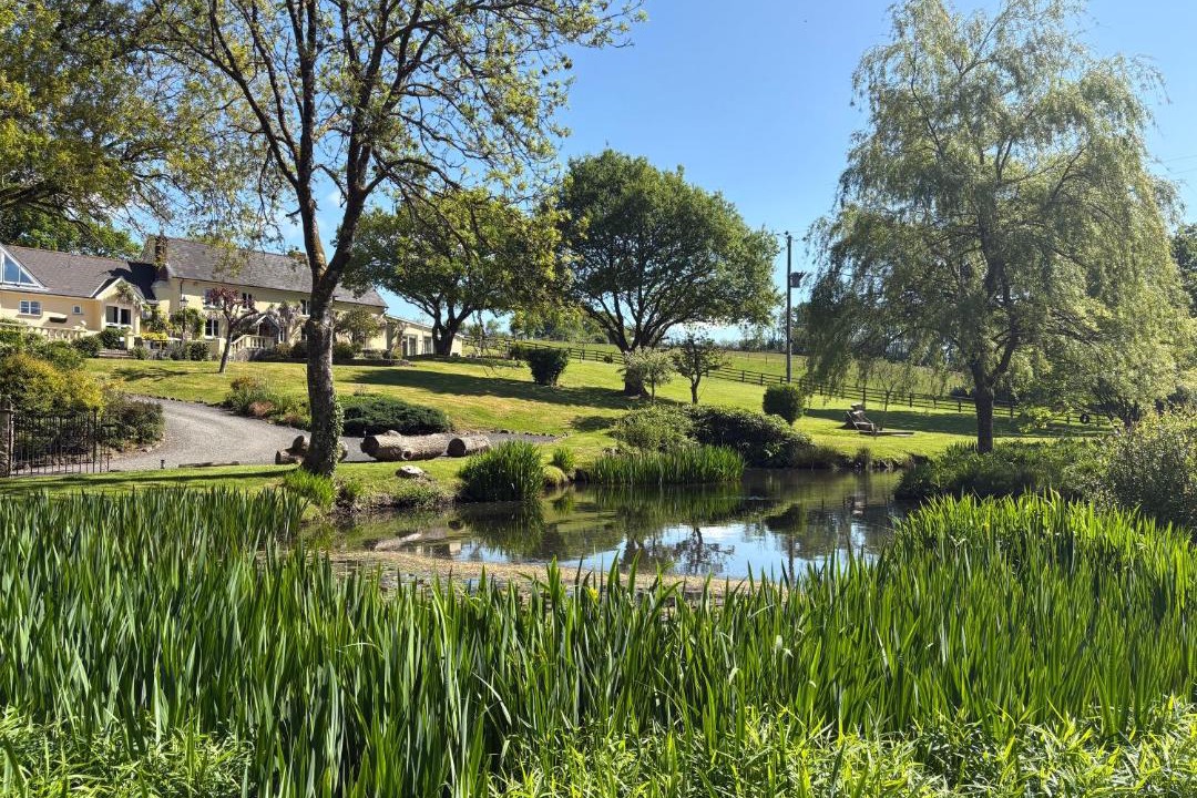 Photo of Others in Broadwoodkelly