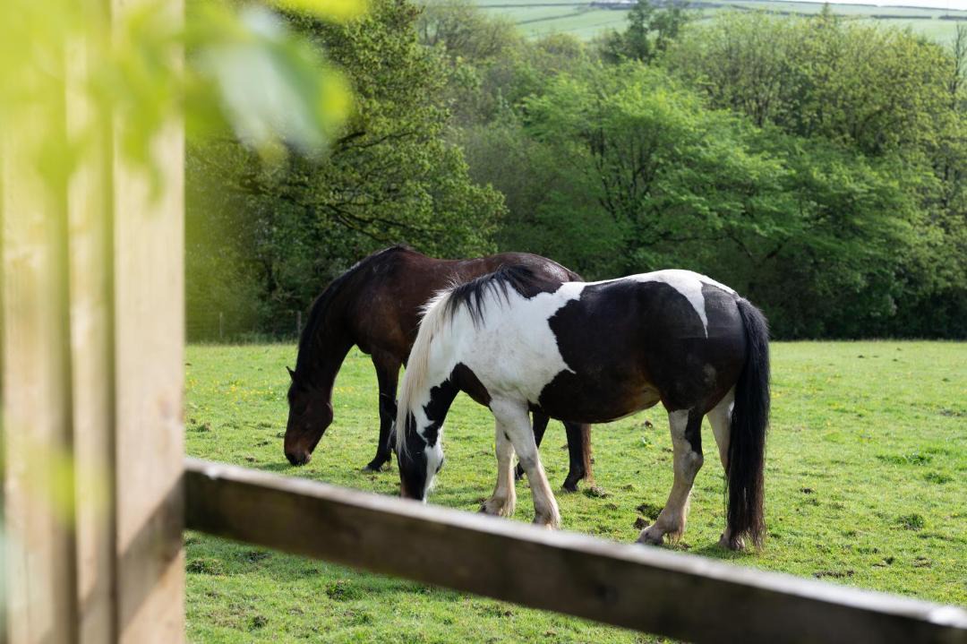Photo of Others in Saint Kew