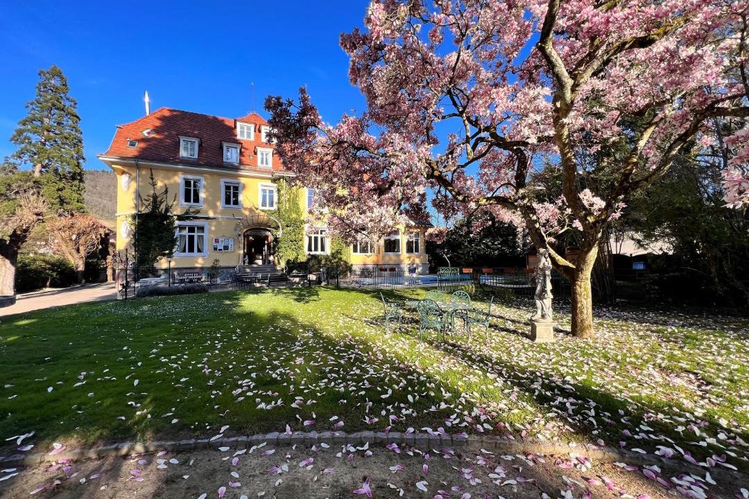 Photo of Others in Thann