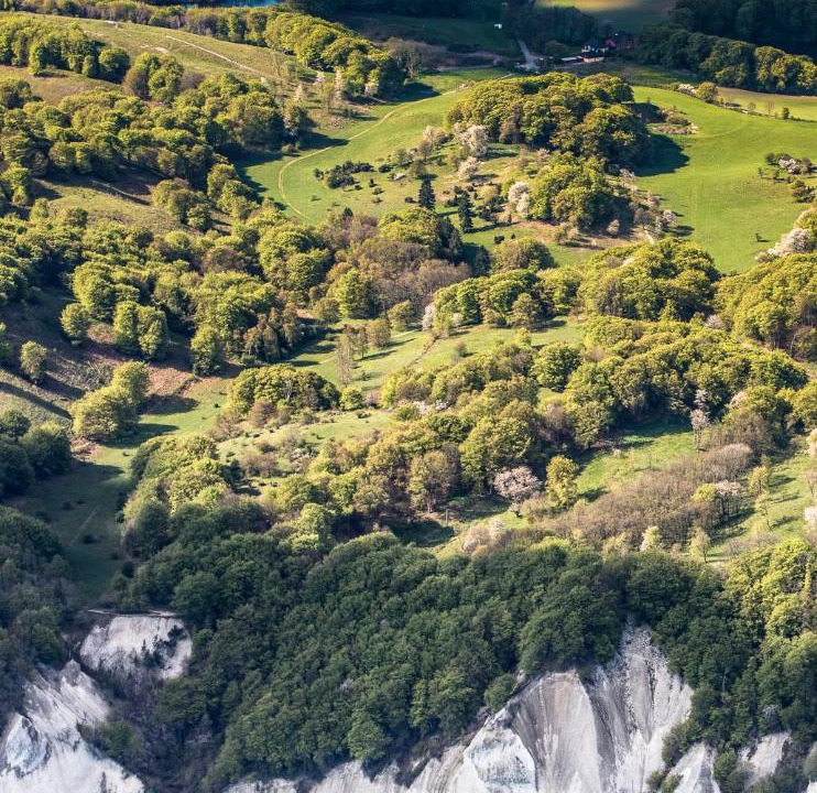 Photo of Others in Borre