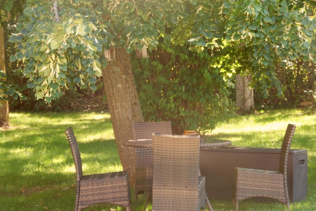 Photo of Others in Renneville