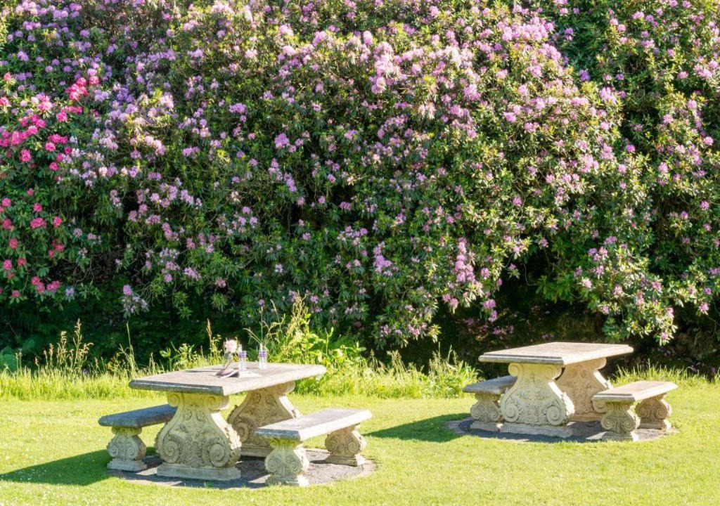 Photo of Others in Lamplugh