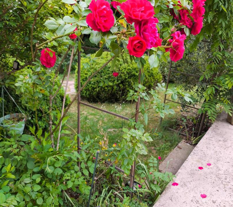 Photo of Others in Sebourg