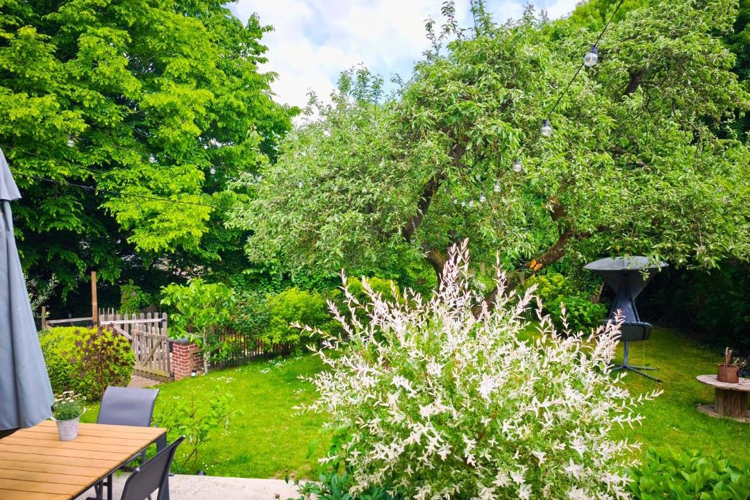 Photo of Others in Sebourg