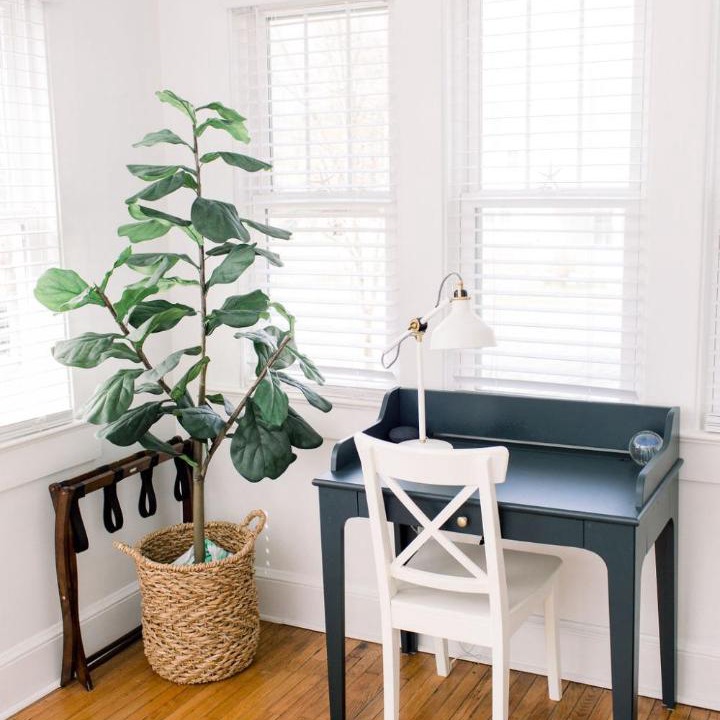 Photo of Others in Cape Charles