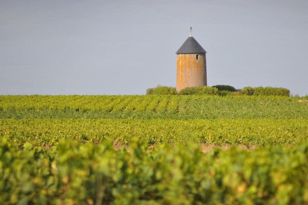Photo of Others in Clisson
