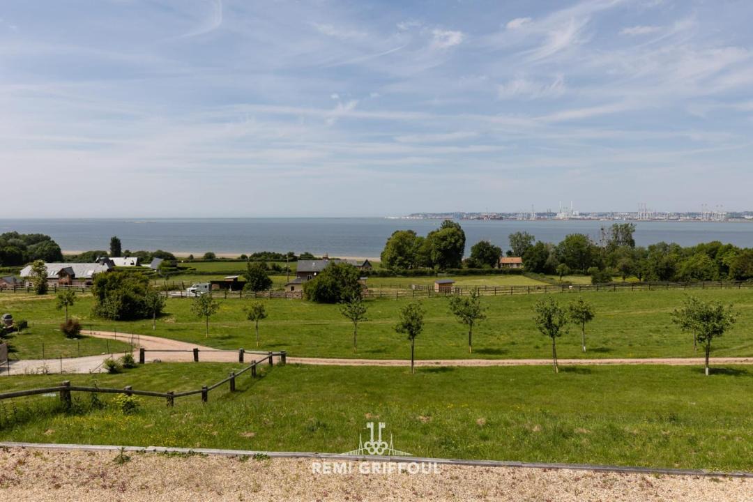 Photo of Others in Honfleur