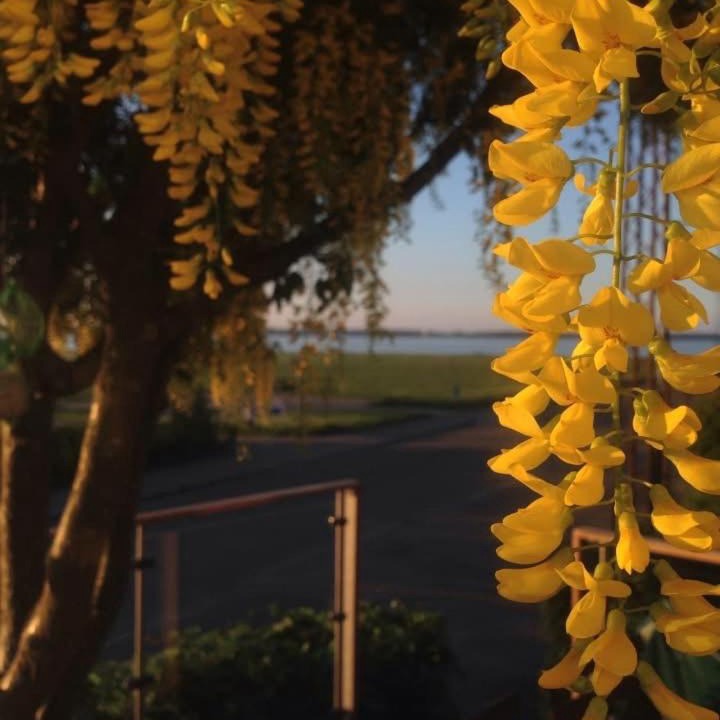 Photo of Others in Holbaek