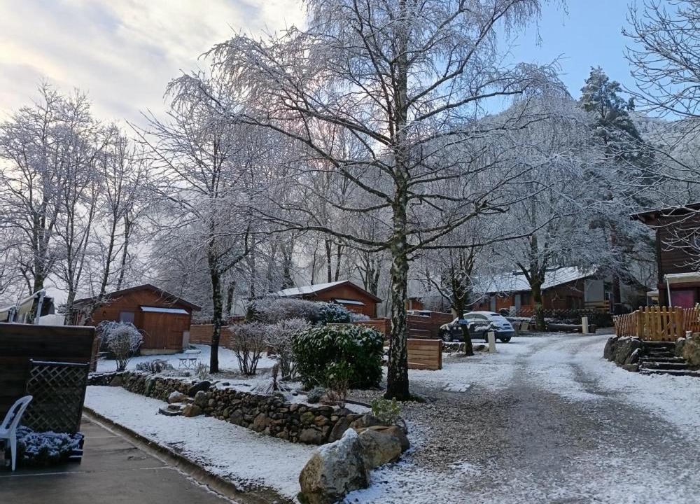 Photo of Others in Arlos