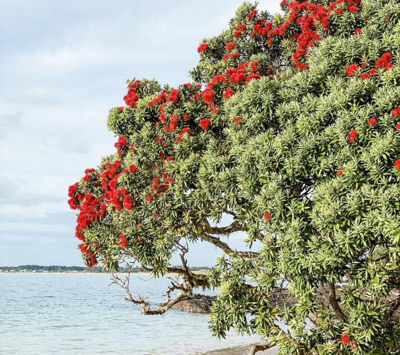 Photo of Others in Merita