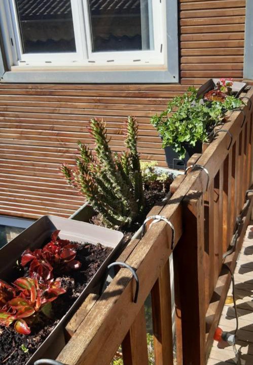 Photo of Others in Saint-Couat-dʼAude