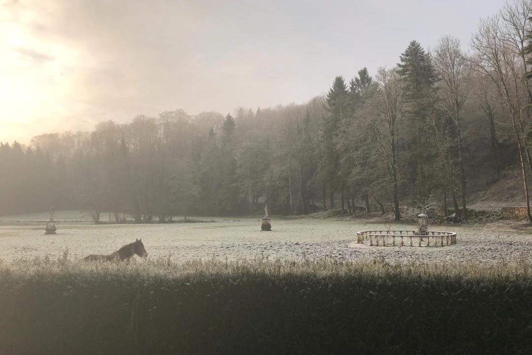 Photo of Others in Rollainville