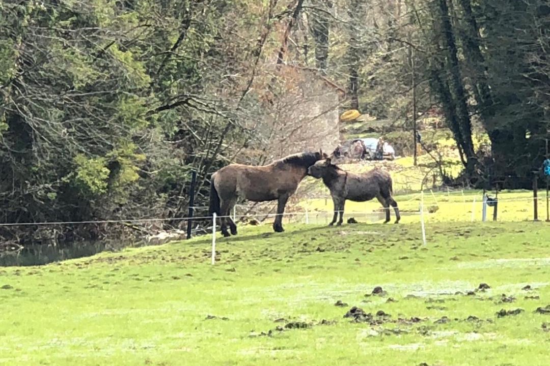 Photo of Others in Rollainville