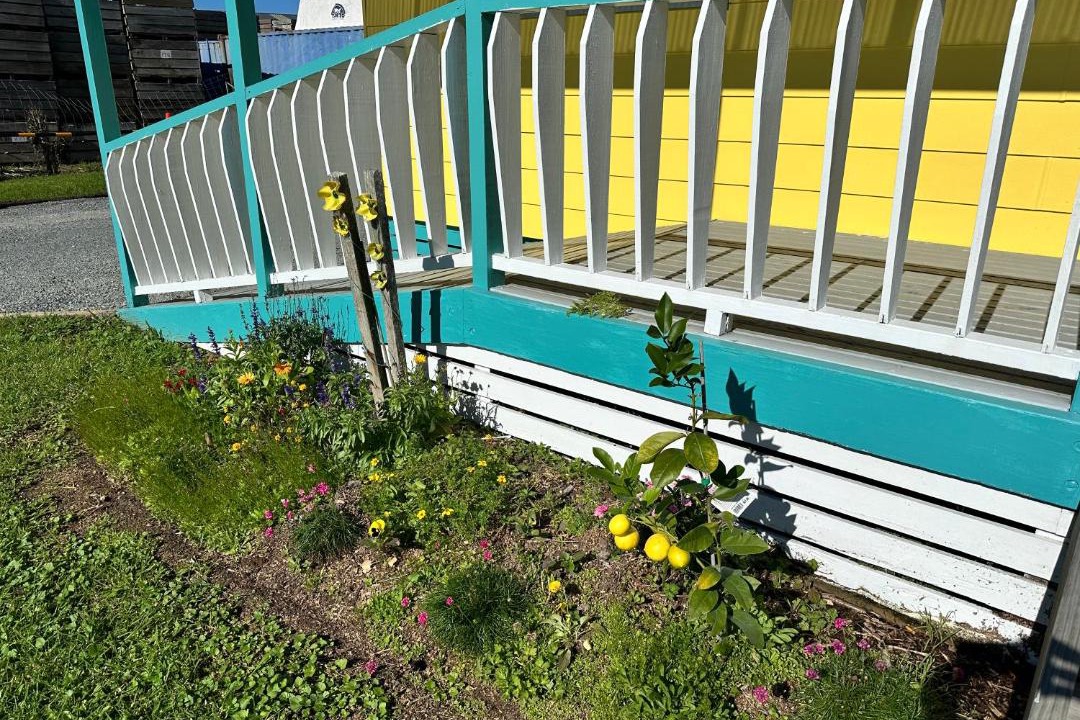 Photo of Others in Dargaville