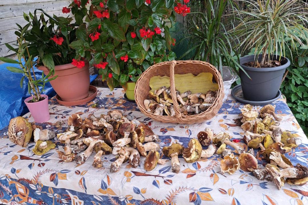 Photo of Outdoor in Bonne