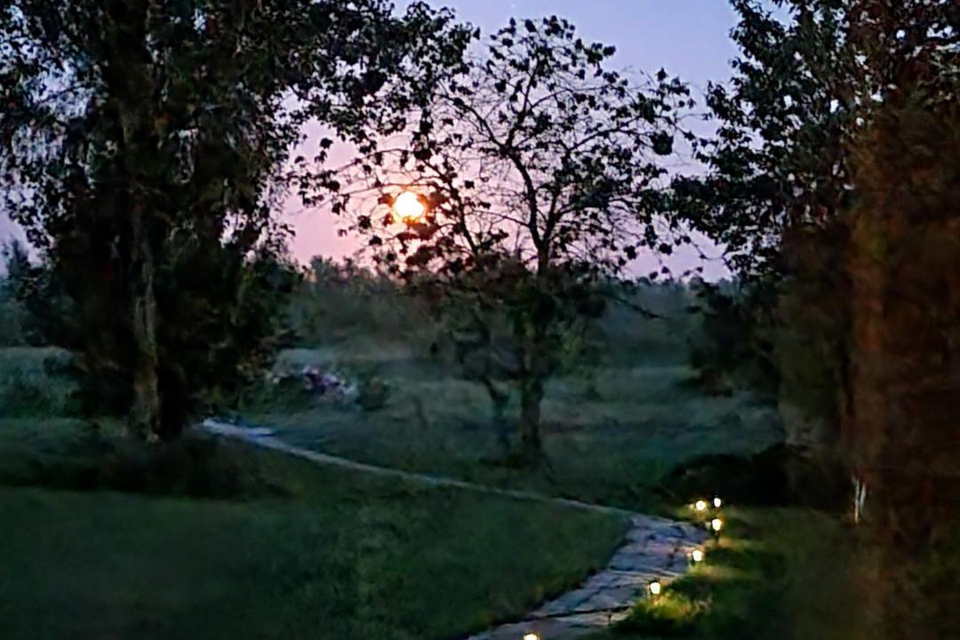 Photo of Others in Graerup