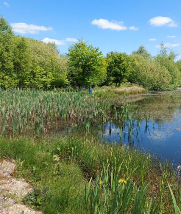 Photo of Others in Graerup